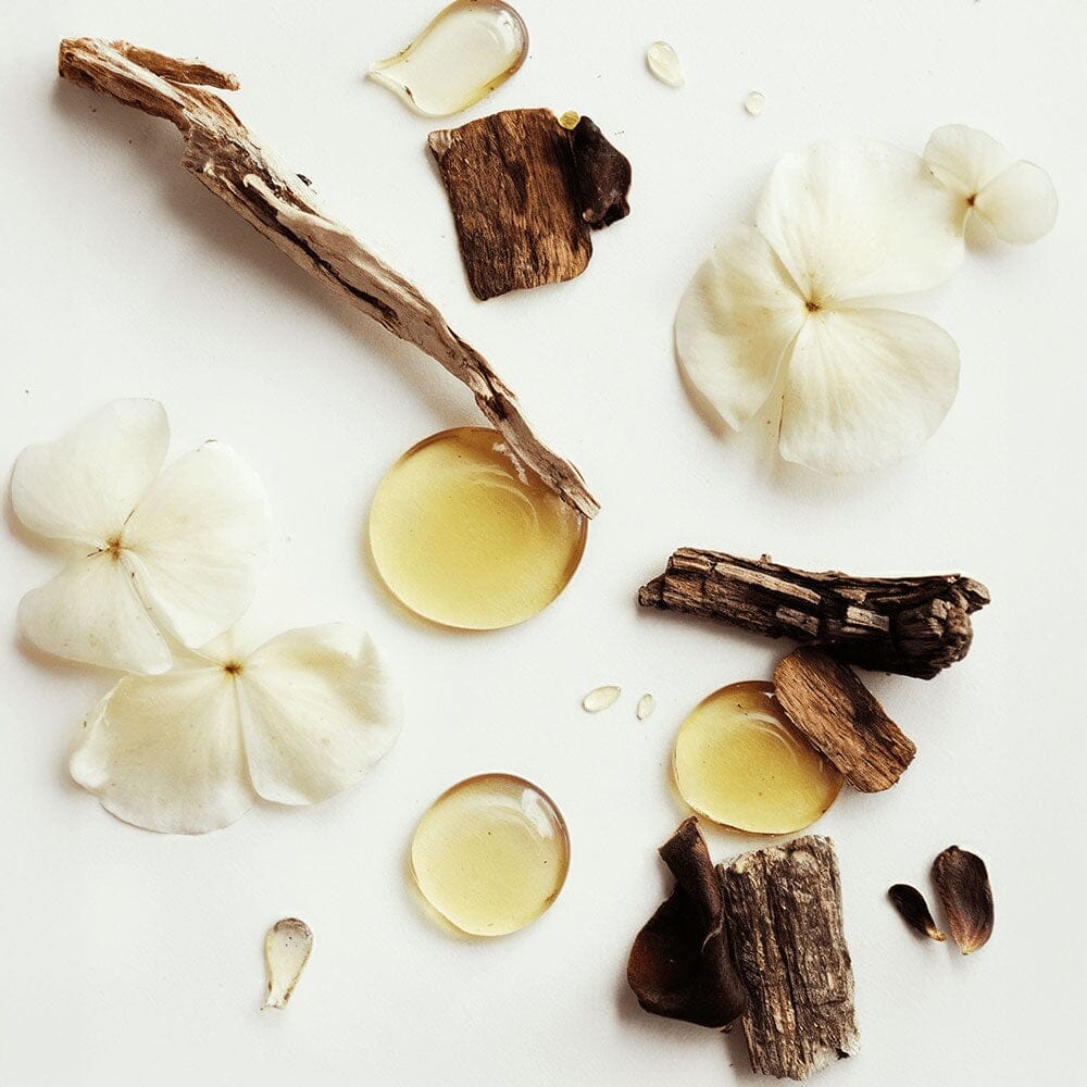 Face+ Moisturiser with Infused Vanilla Bean - Premium Hydration Tallow Savvishly Savvique 