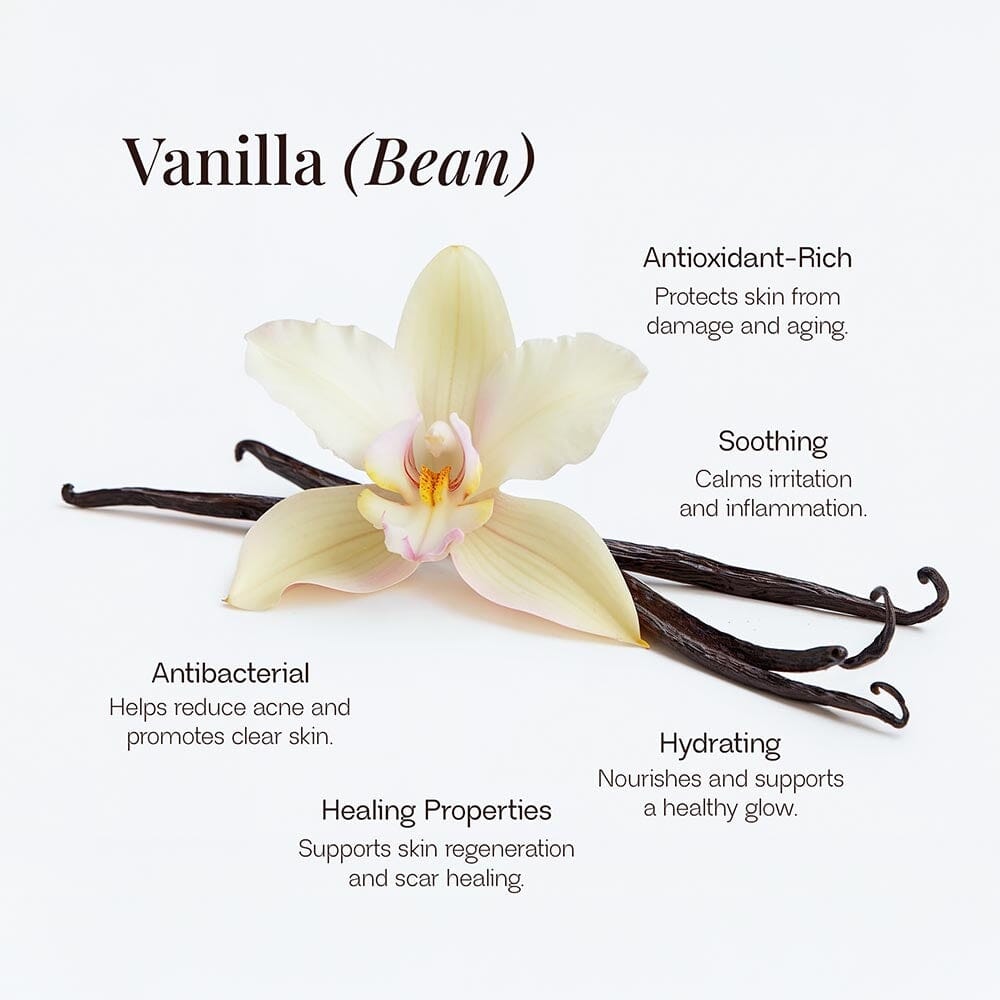 Face+ Moisturiser with Infused Vanilla Bean - Premium Hydration Tallow Savvishly Savvique 