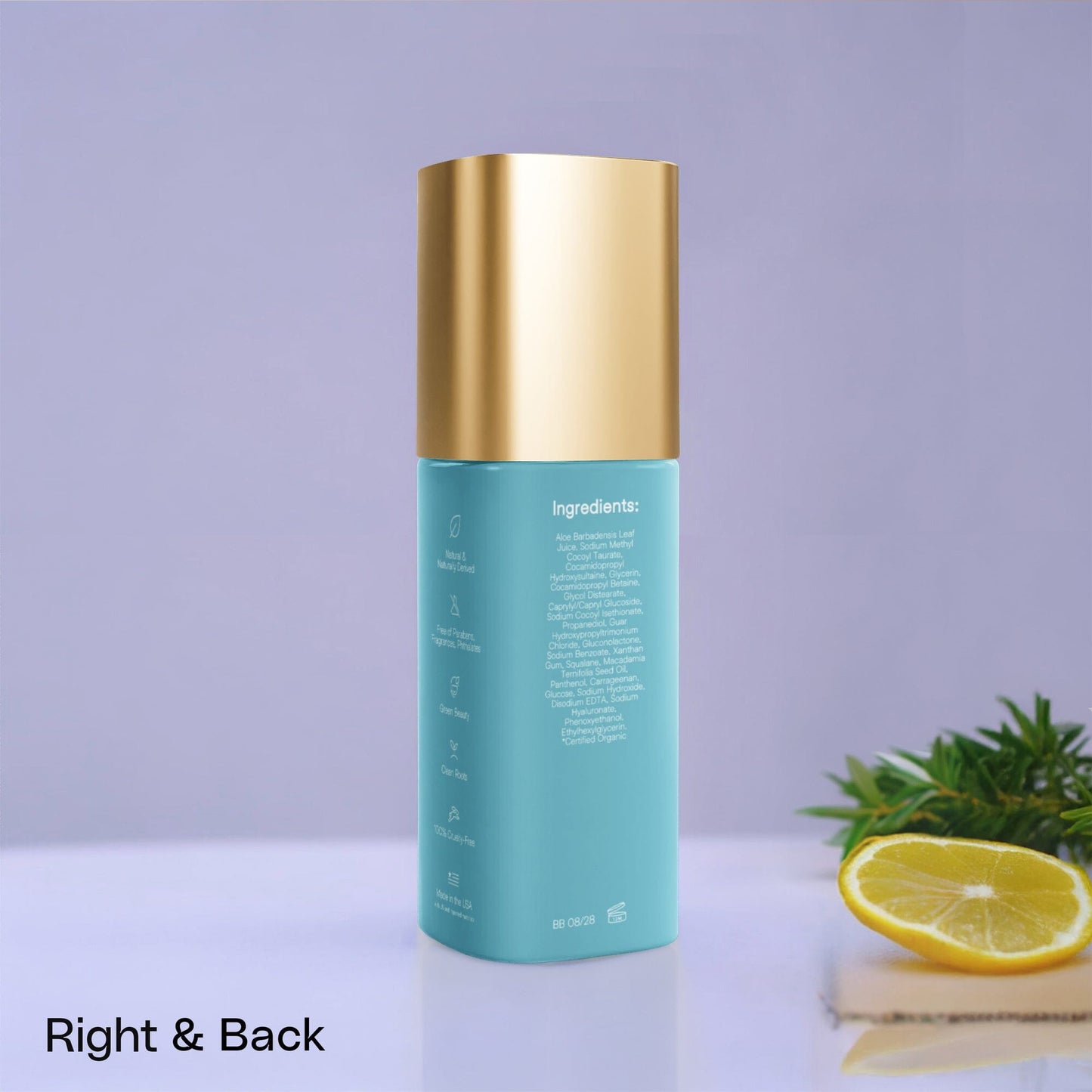Skin Renewal Face Crème - Rich Anti-Aging Treatment Riche Cream Savvishly Savvique 